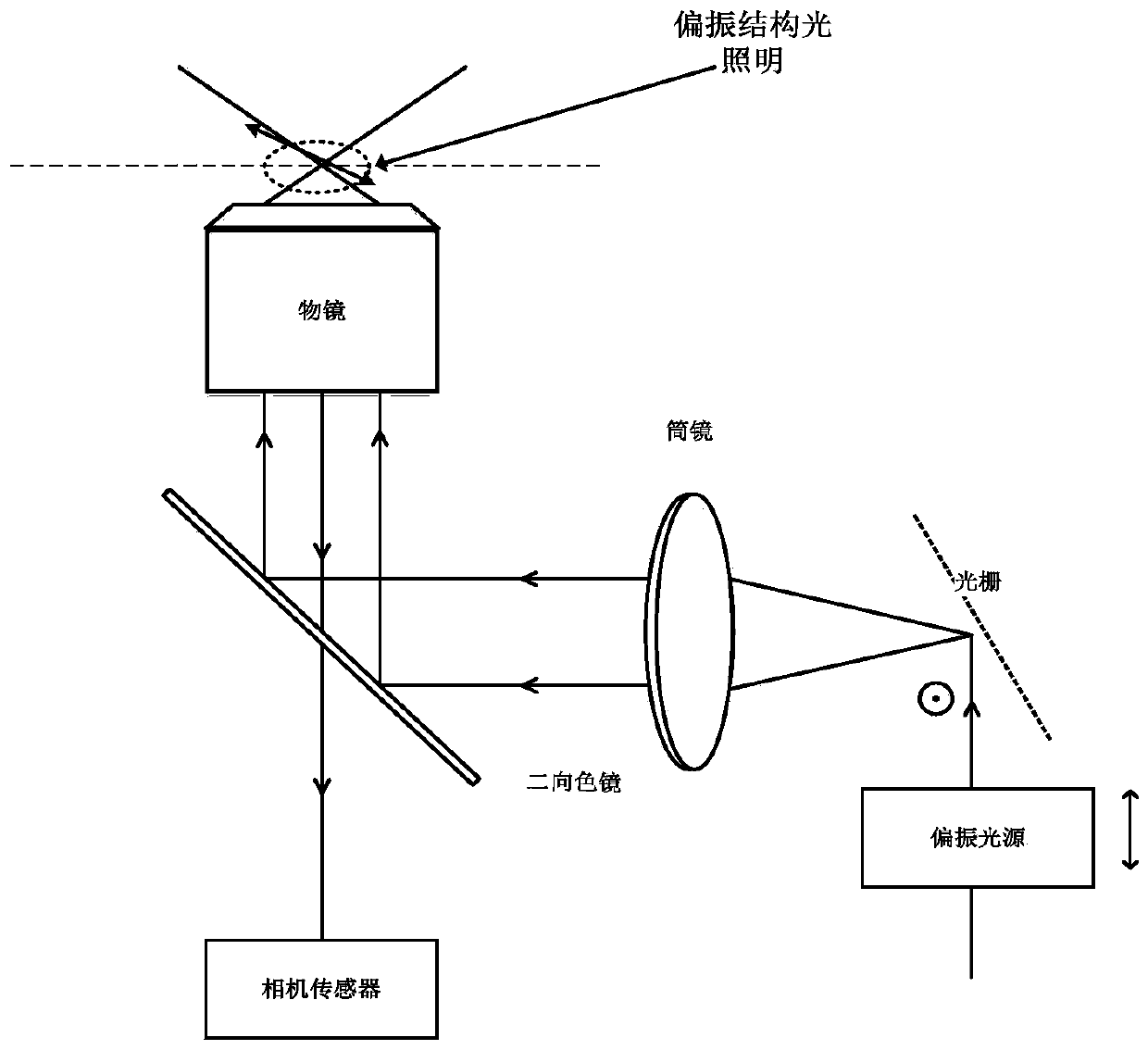 A Fluorescent Dipole Orientation Method Based on Structured Light Illumination