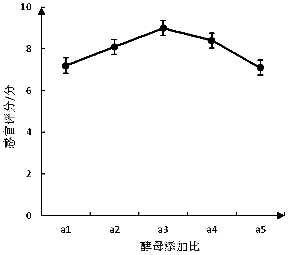 Gingko nut and blueberry compound fruit wine and making method thereof