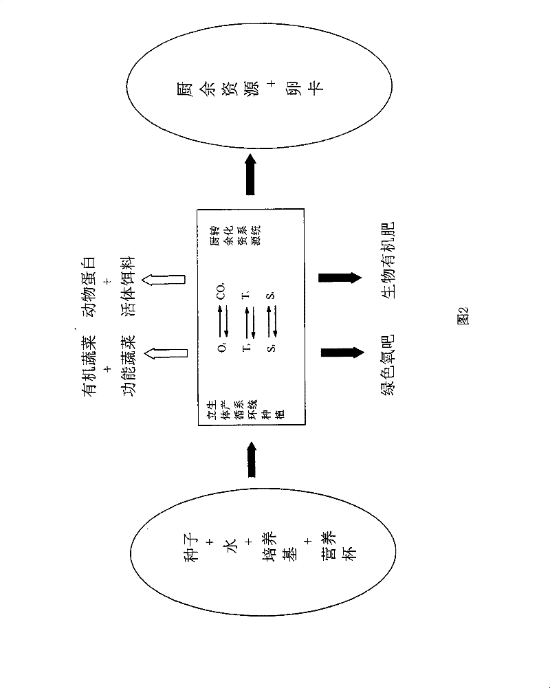 Family ecological cultivation case