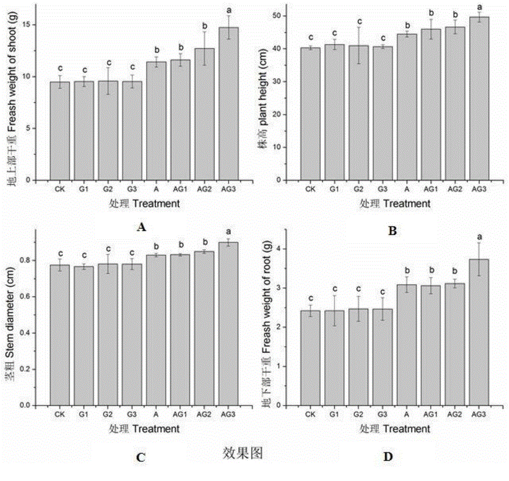 Nano goethite-amino acid compound leaf fertilizer as well as preparation method and application thereof