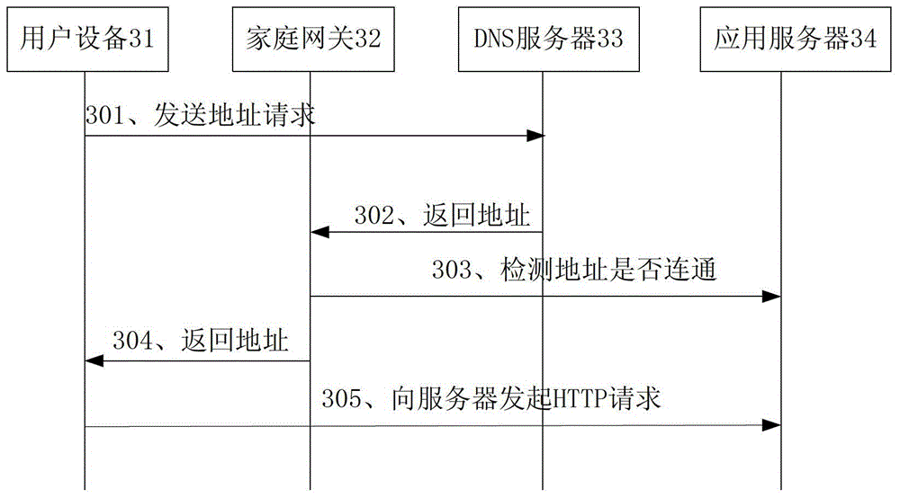 Method for user equipment to select network layer protocol, home gateway and Internet network