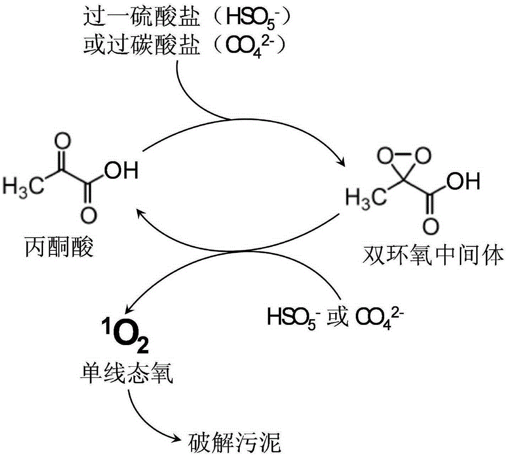 Method for cracking sludge by virtue of singlet oxygen