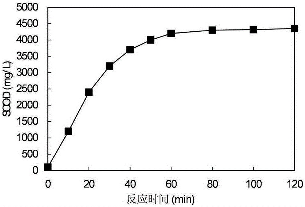 Method for cracking sludge by virtue of singlet oxygen