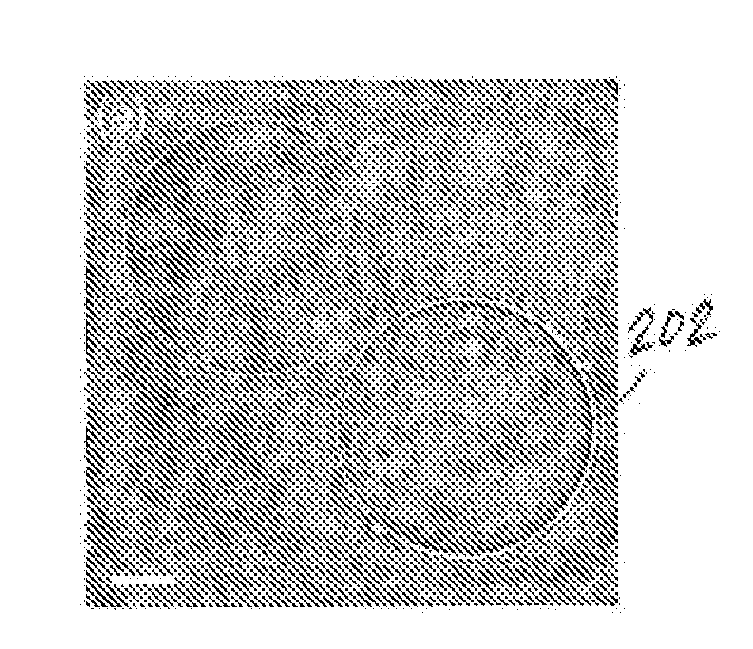 Systems and methods for self-referenced quantitative phase microscopy