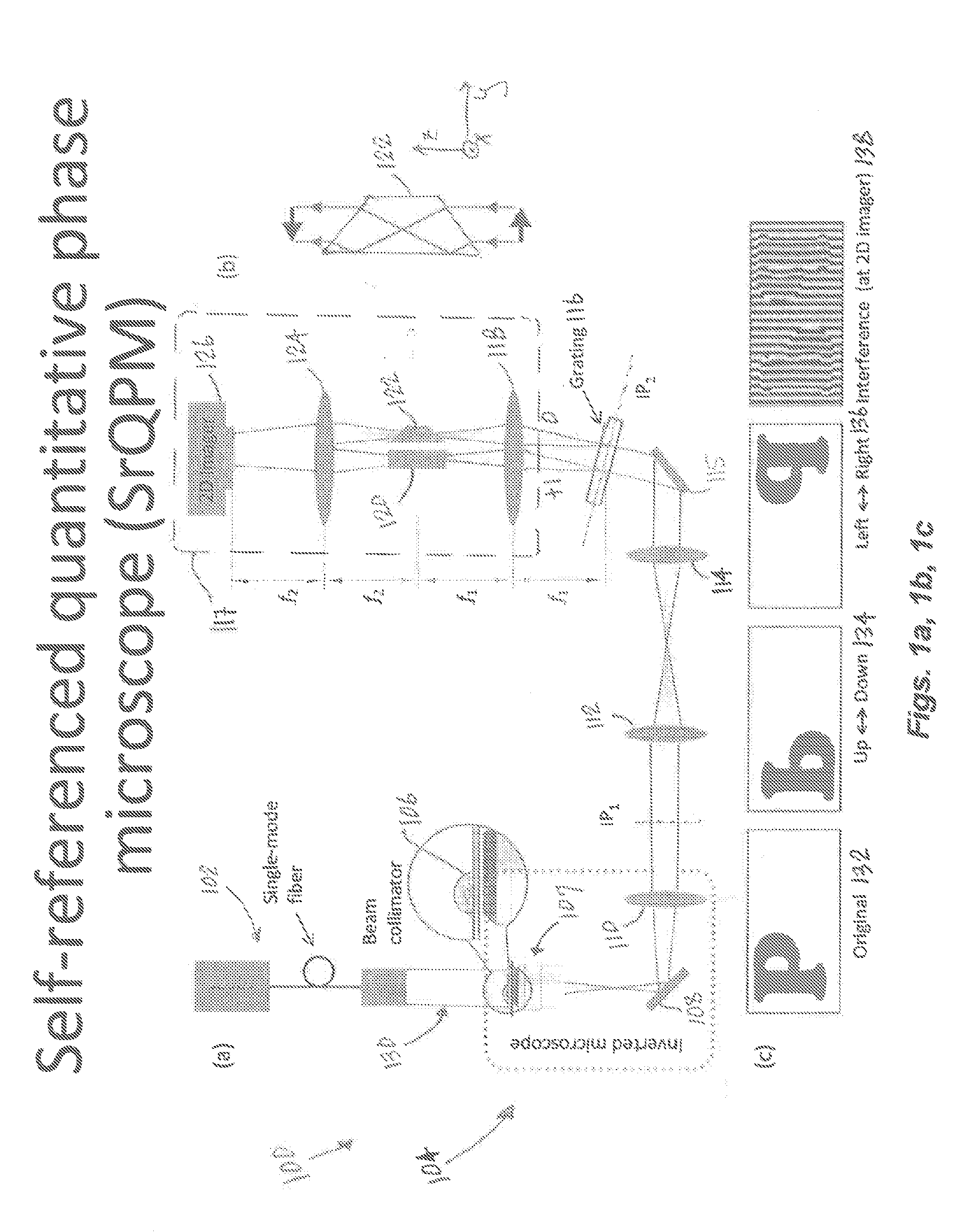 Systems and methods for self-referenced quantitative phase microscopy