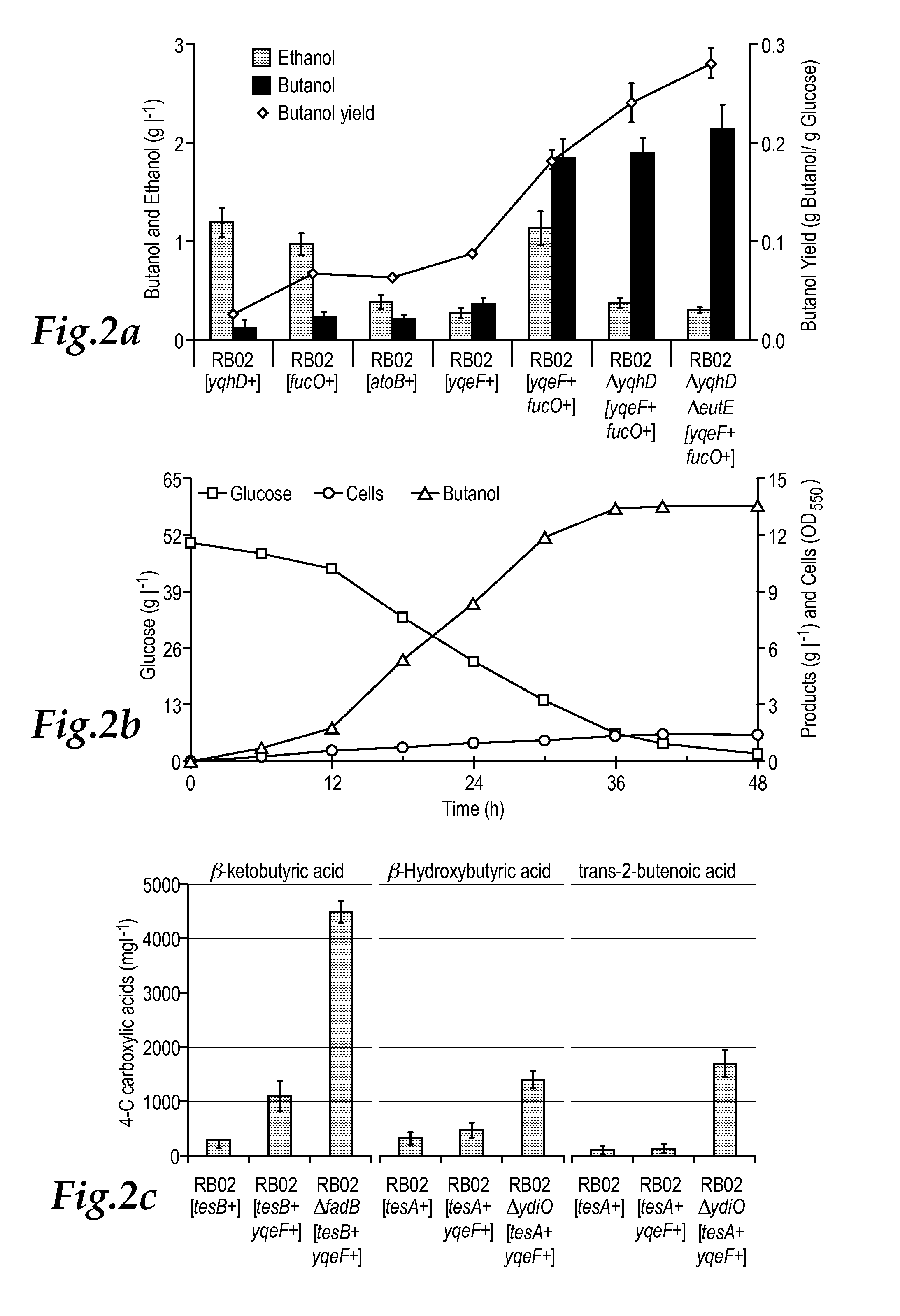 Reverse beta oxidation pathway