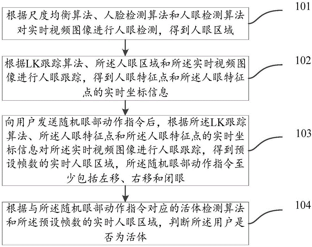 Living body detection method and apparatus based on active state of human eye region