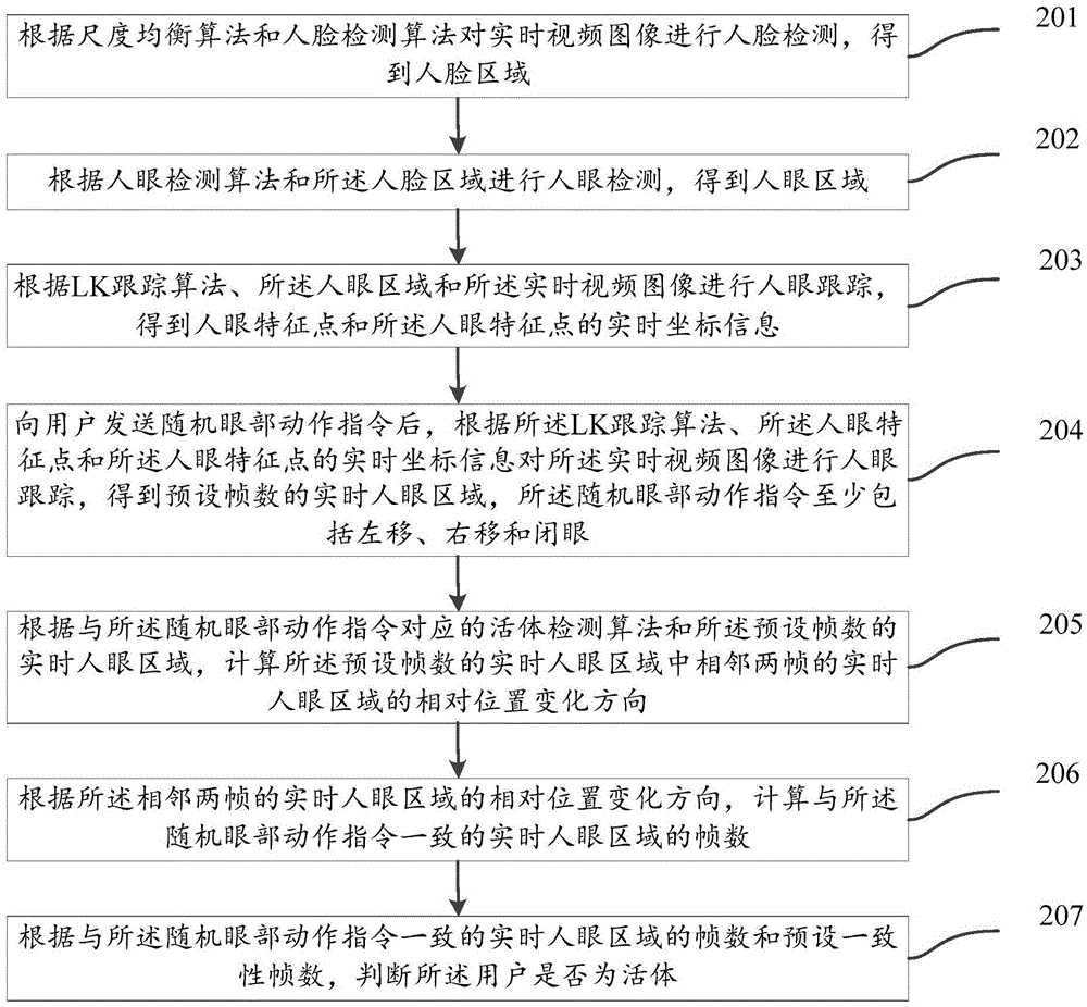 Living body detection method and apparatus based on active state of human eye region