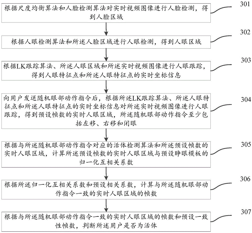 Living body detection method and apparatus based on active state of human eye region