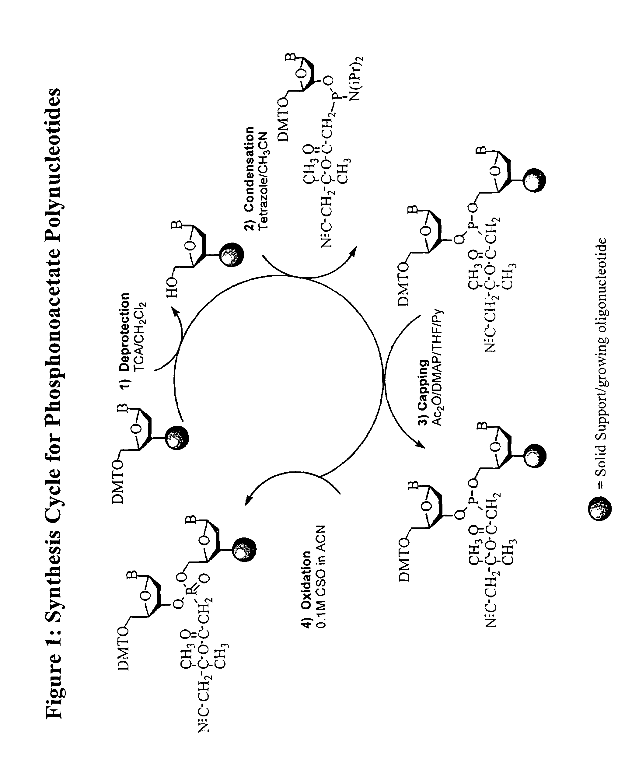 Phosphinoamidite carboxylates and analogs thereof in the synthesis of oligonucleotides having reduced internucleotide charge