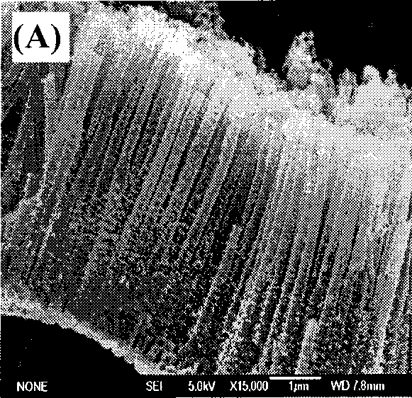 Preparation method of Fe-C-TiO2 nano tube array