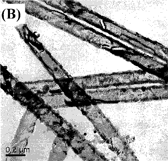 Preparation method of Fe-C-TiO2 nano tube array