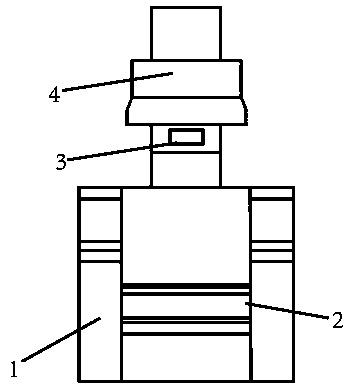 Intelligent cold therapy spectrum control system, control method and cold therapy device