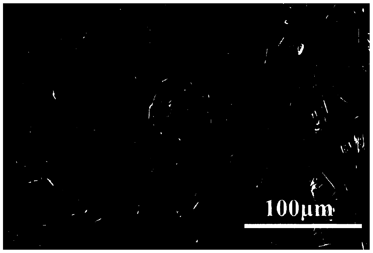 Power generation film and wearable device