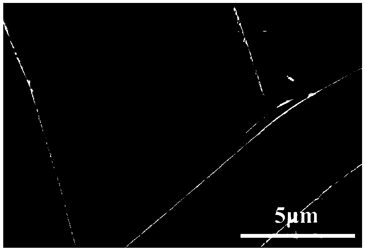 Power generation film and wearable device