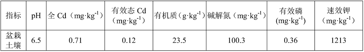 Preparation method of activator for promoting remediation of Cd-contaminated farmland soil by means of Amaranthus hypochondriacus