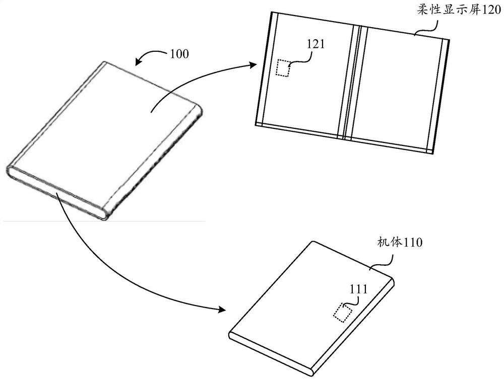 Terminal and flexible display screen