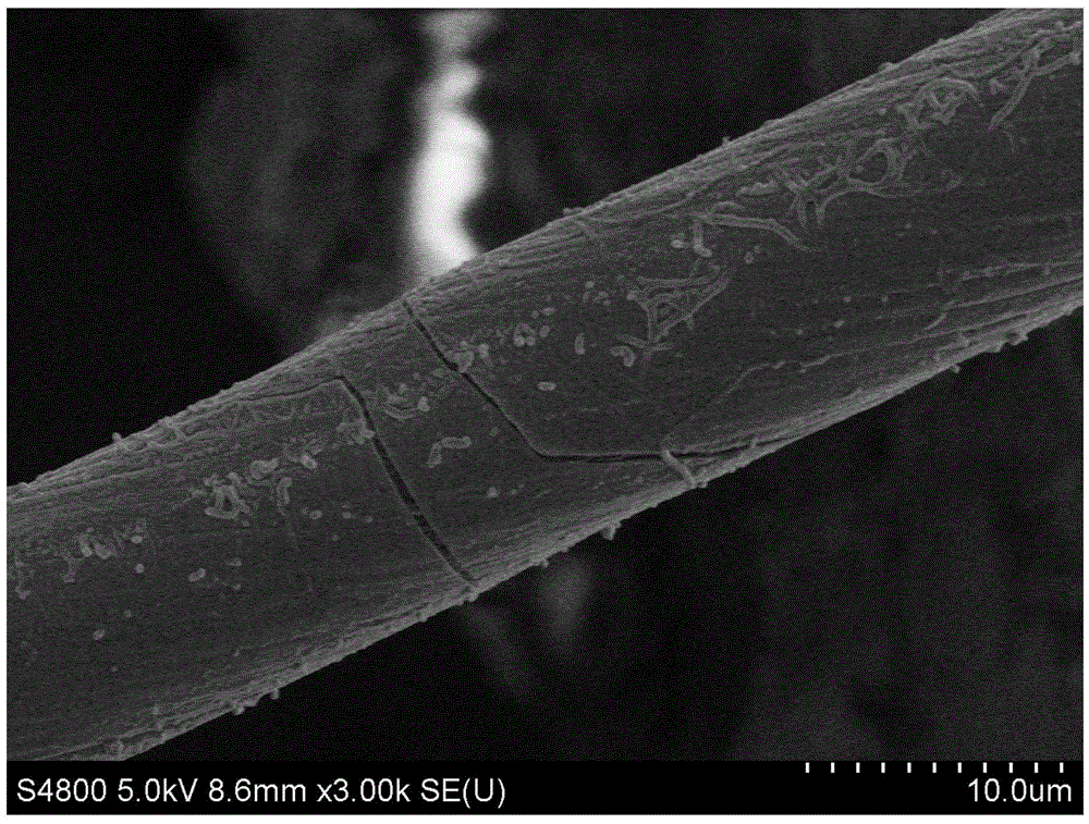 Oriented carbon nano tube and aluminum oxide hybrid fiber and preparation method thereof