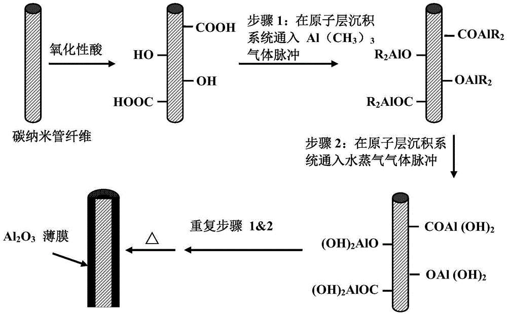 Oriented carbon nano tube and aluminum oxide hybrid fiber and preparation method thereof