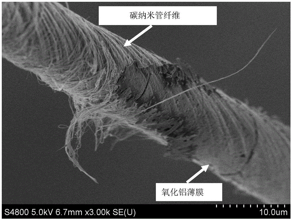 Oriented carbon nano tube and aluminum oxide hybrid fiber and preparation method thereof