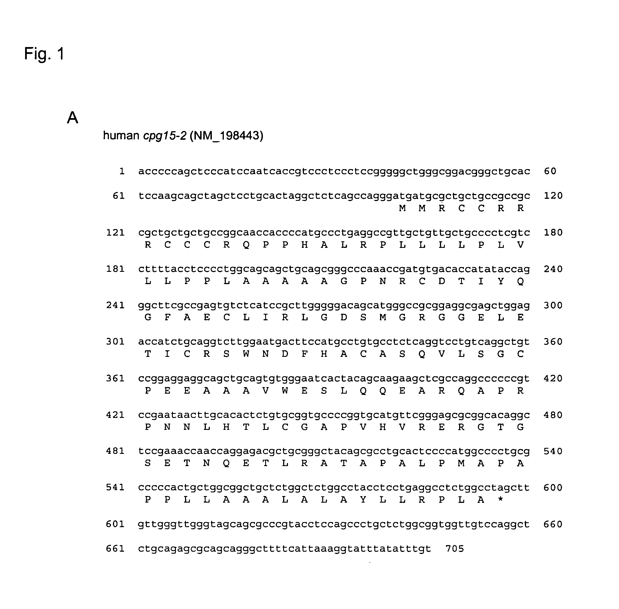 Methods and compositions for CPG15-2