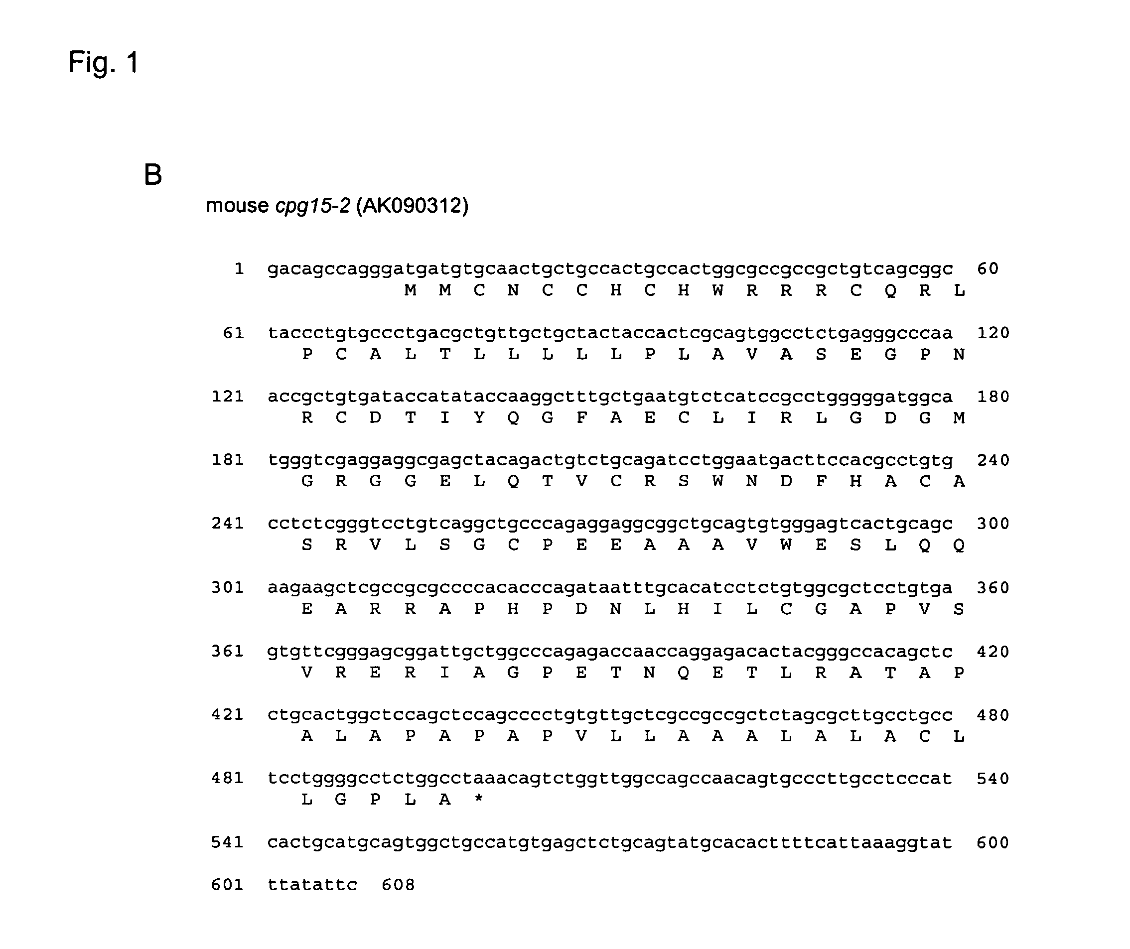 Methods and compositions for CPG15-2