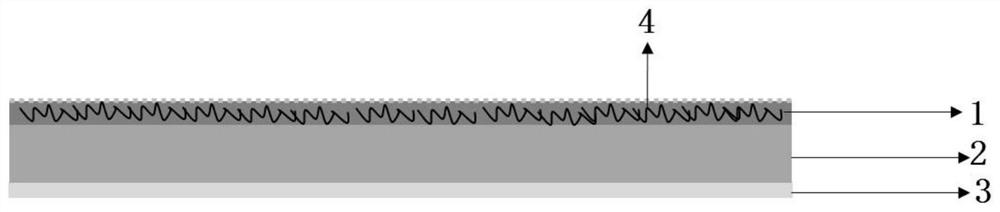 Pre-sodium-modified positive pole piece, application of pre-sodium-modified positive pole piece, sodium-ion battery and preparation method of sodium-ion battery