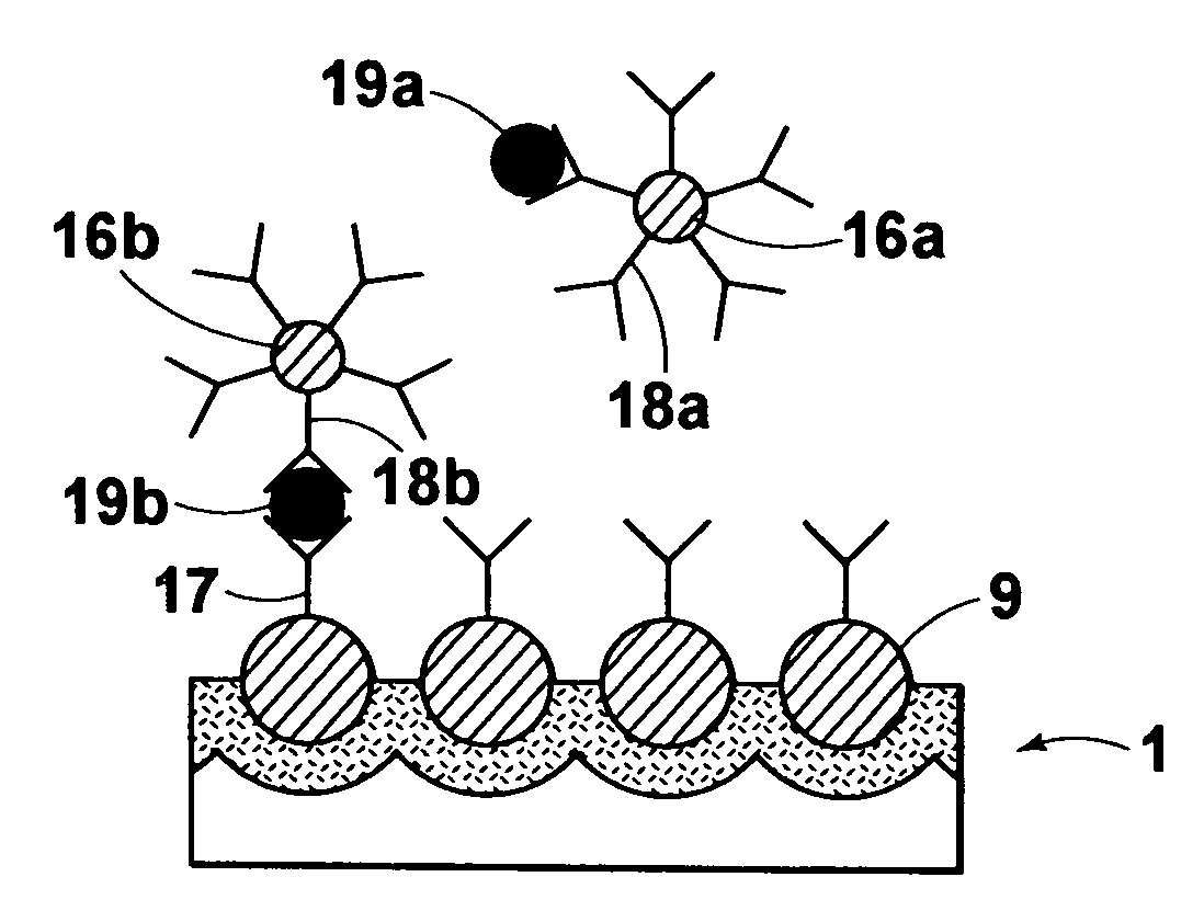 Method of detecting test bodies