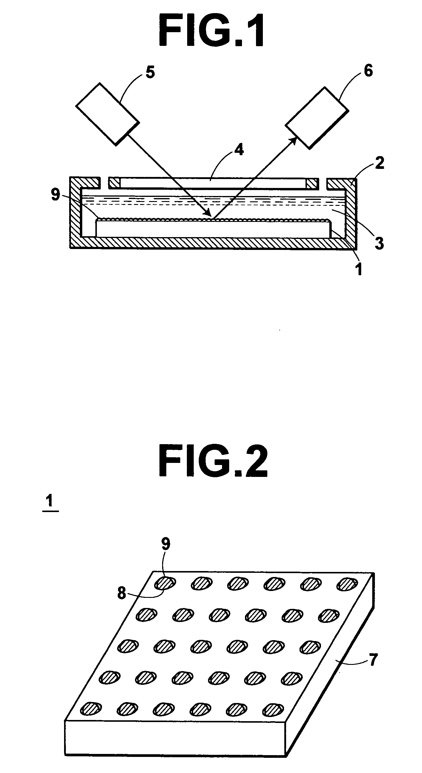 Method of detecting test bodies