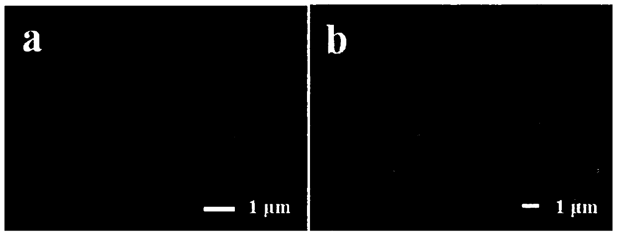 Hierarchical nano-cone array for in-situ monitoring of chemical reactions by surface-enhanced Raman scattering and preparation method thereof