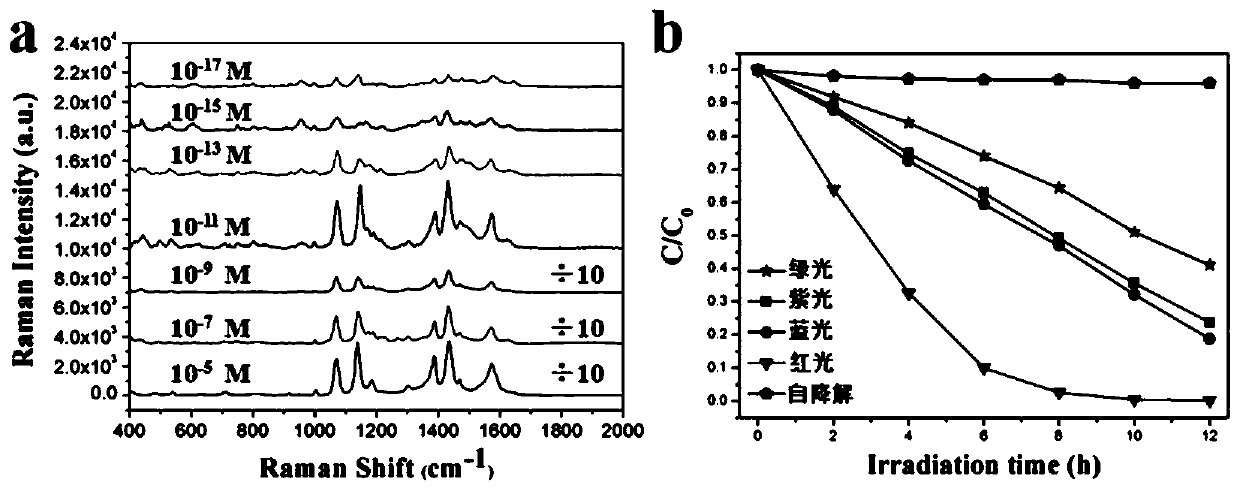 Hierarchical nano-cone array for in-situ monitoring of chemical reactions by surface-enhanced Raman scattering and preparation method thereof