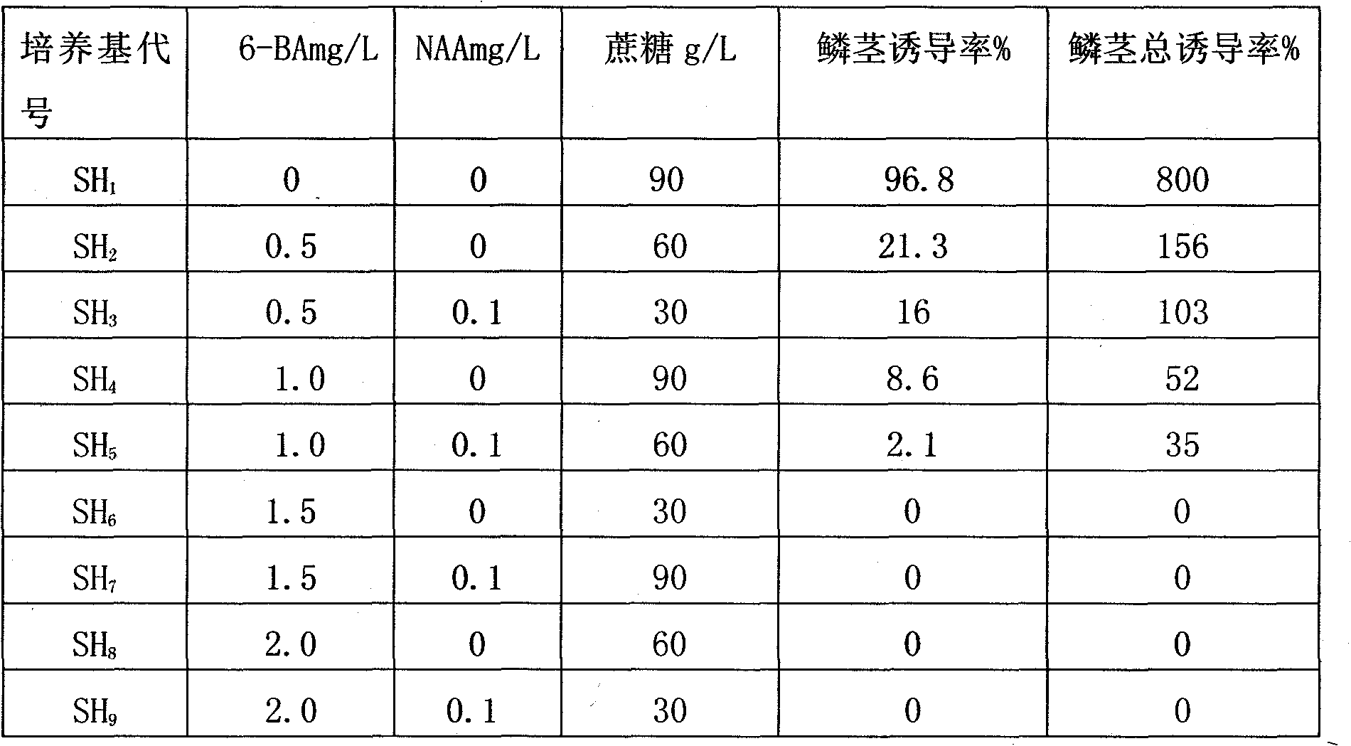 Method for direct induction of bulb culture medium by isolated culture of garlic (Allium sativum L.) rachis