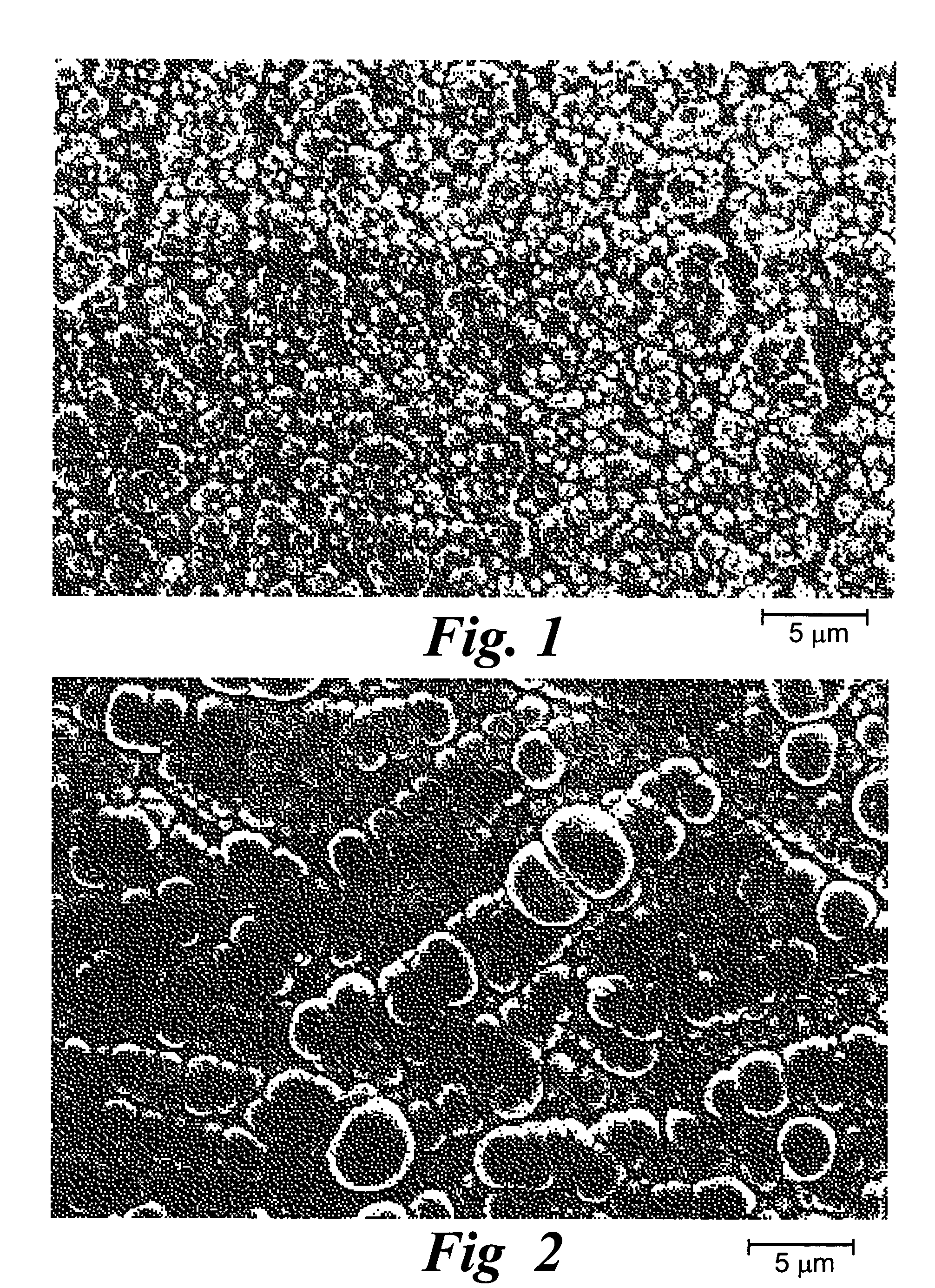 Adherent metal oxide coating forming a high surface area electrode