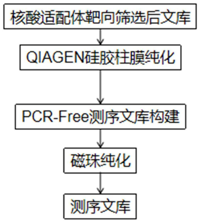 High-throughput sequencing library construction method of nucleic acid aptamer library