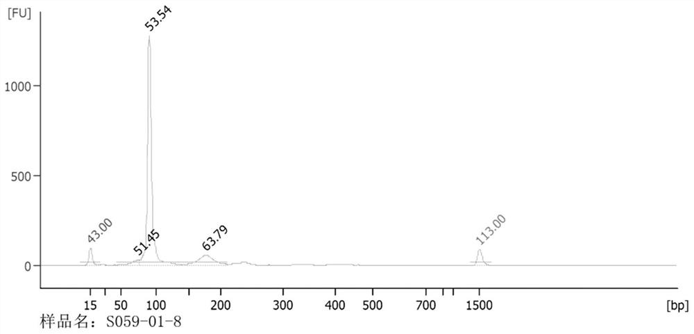 High-throughput sequencing library construction method of nucleic acid aptamer library