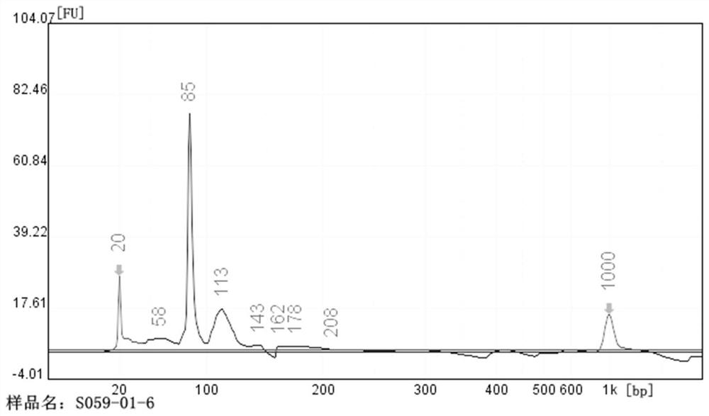 High-throughput sequencing library construction method of nucleic acid aptamer library