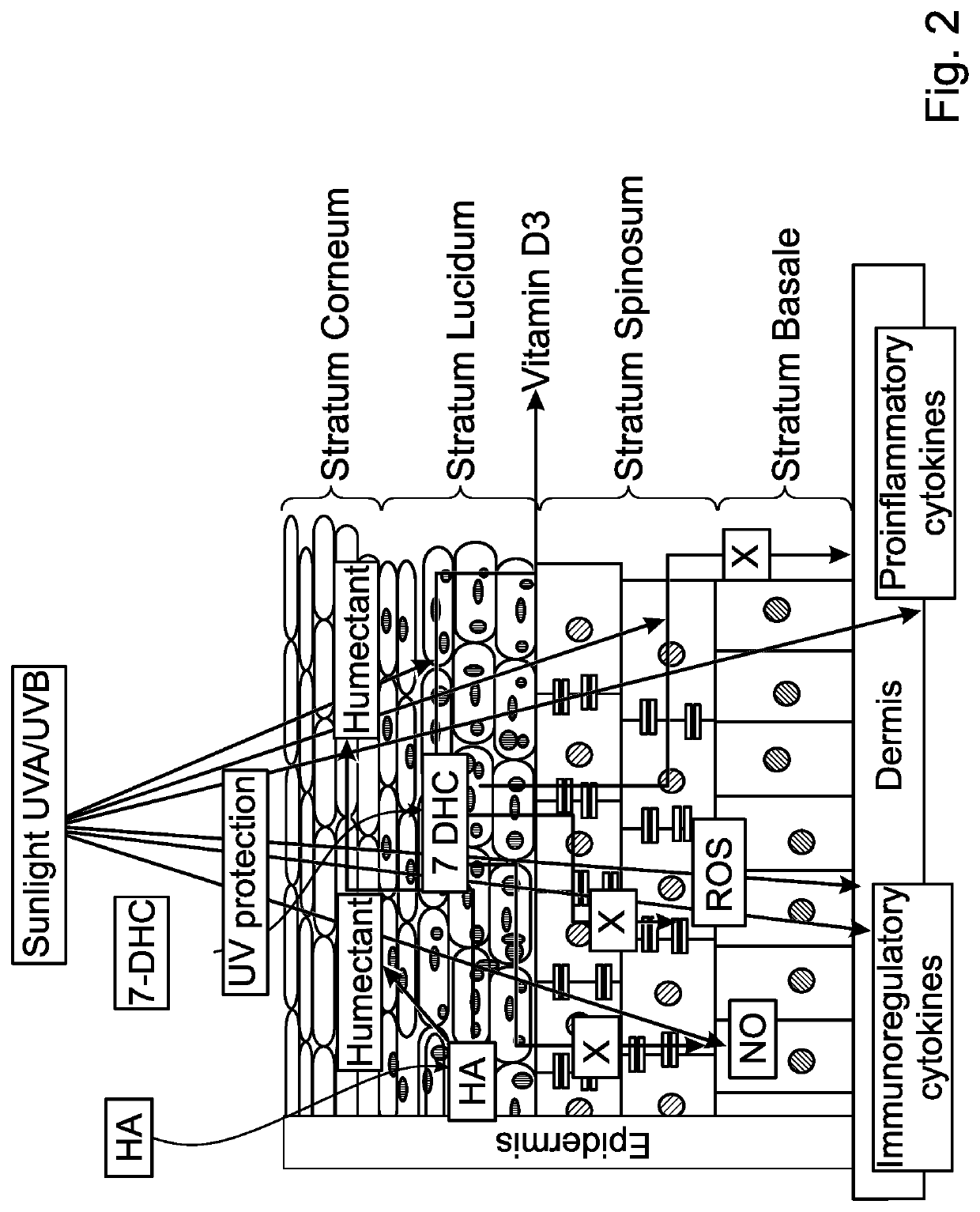 Pharmaceutical compositions