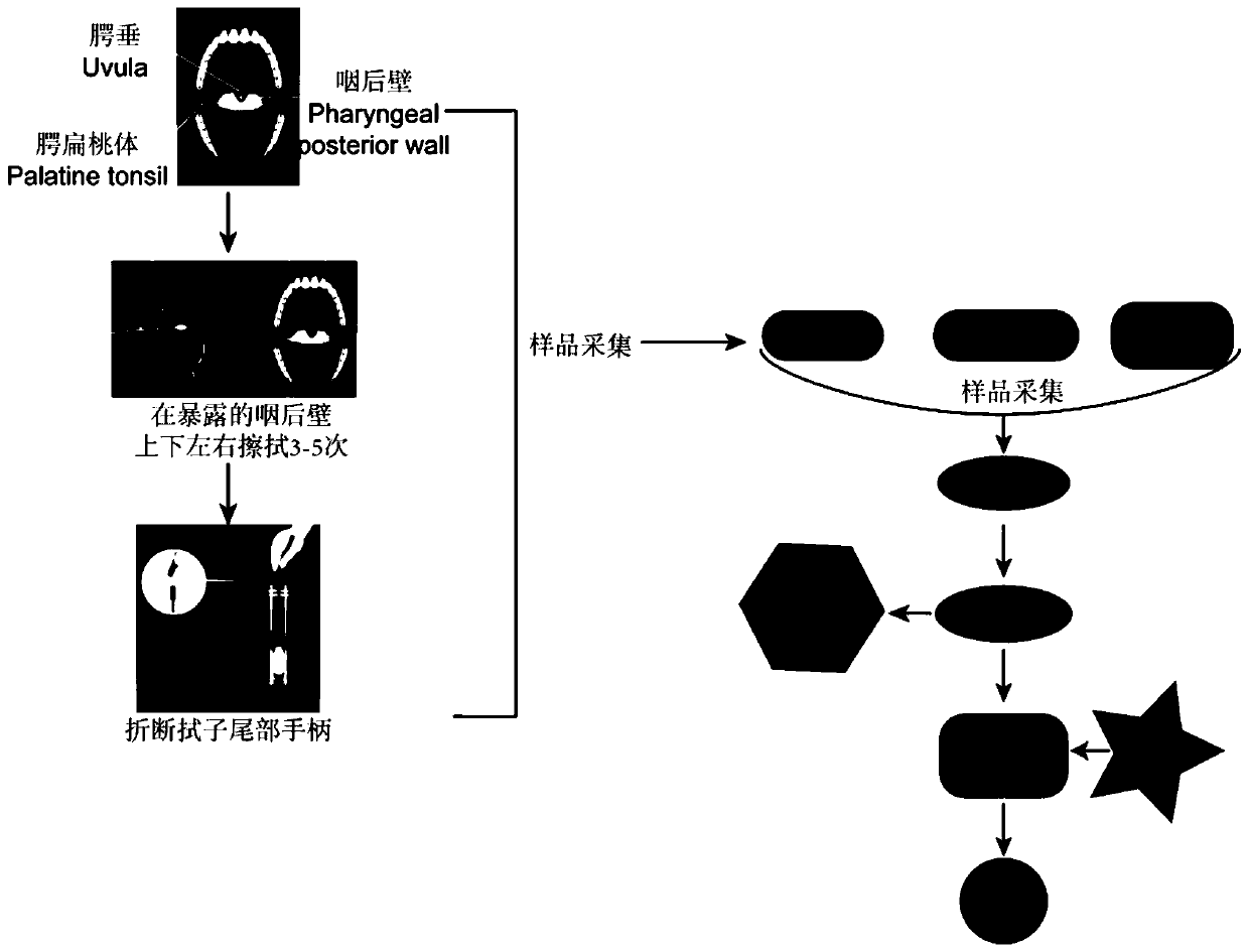 Detection kit for novel coronavirus COVID-19 infection