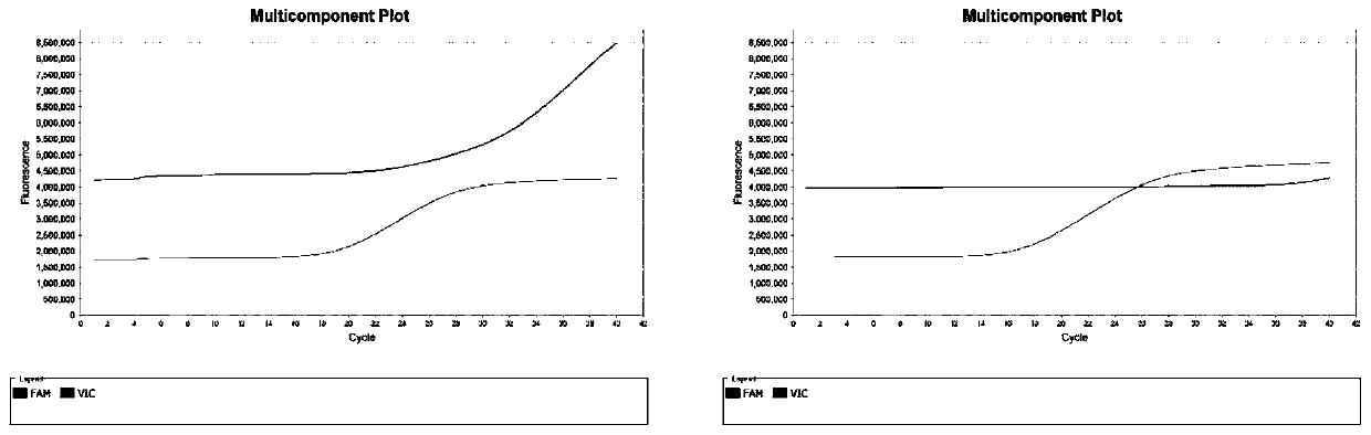 Detection kit for novel coronavirus COVID-19 infection