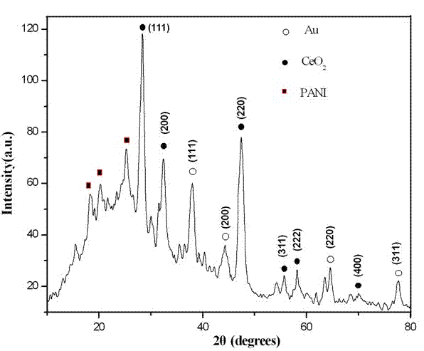 Au NPs-CeO2@PANI (polyaniline) nanocomposite, preparation method thereof and glucose biological sensor manufactured by utilizing nanocomposite