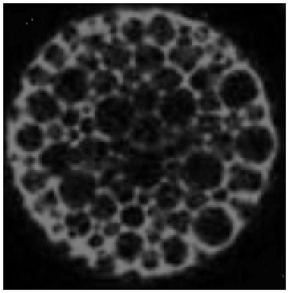 Essential oil microcapsule and preparation method thereof, and application of essential oil microcapsule in humidifier