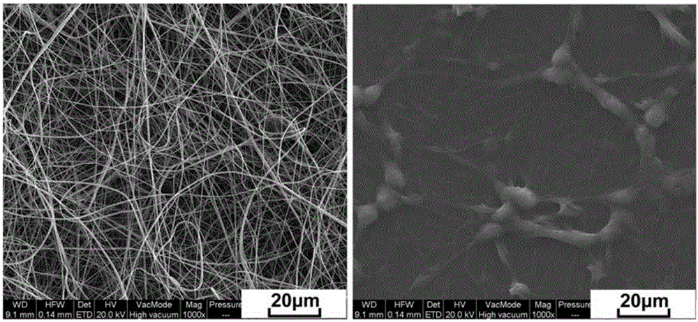 Zein and glycopolypeptide grafted copolymer and preparation method and application thereof