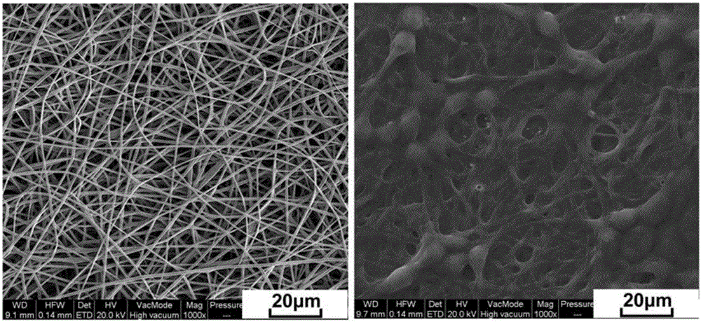 Zein and glycopolypeptide grafted copolymer and preparation method and application thereof