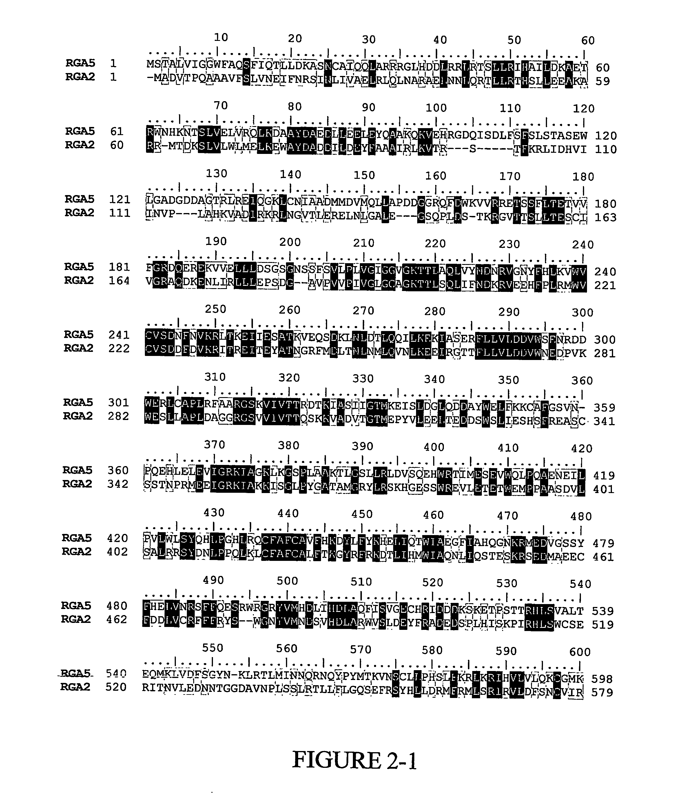 Banana Resistance Genes And Uses Thereof