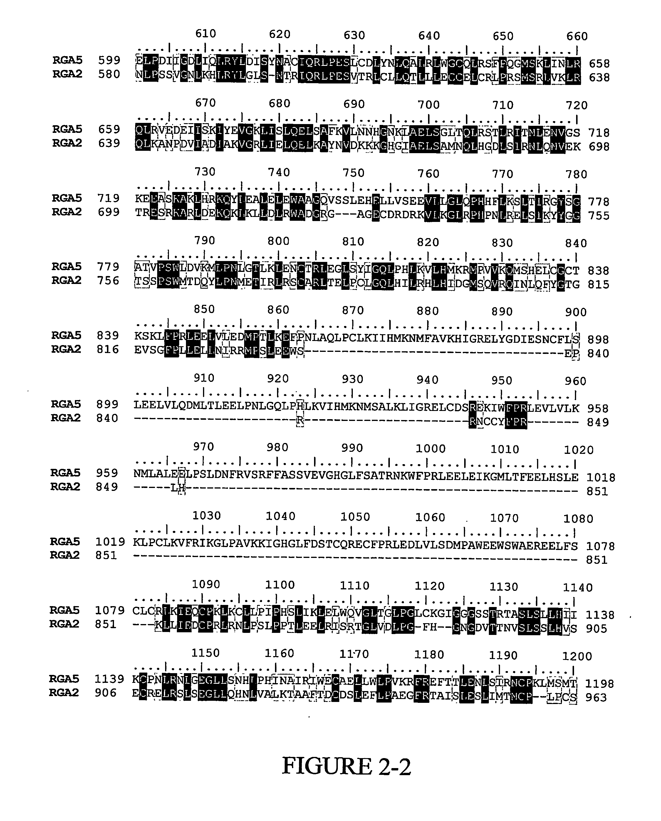 Banana Resistance Genes And Uses Thereof