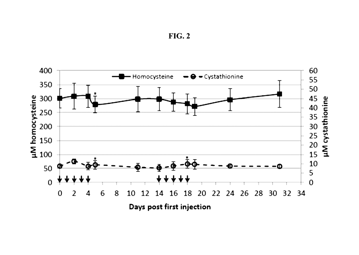 Compositions and methods for treatment of homocystinuria