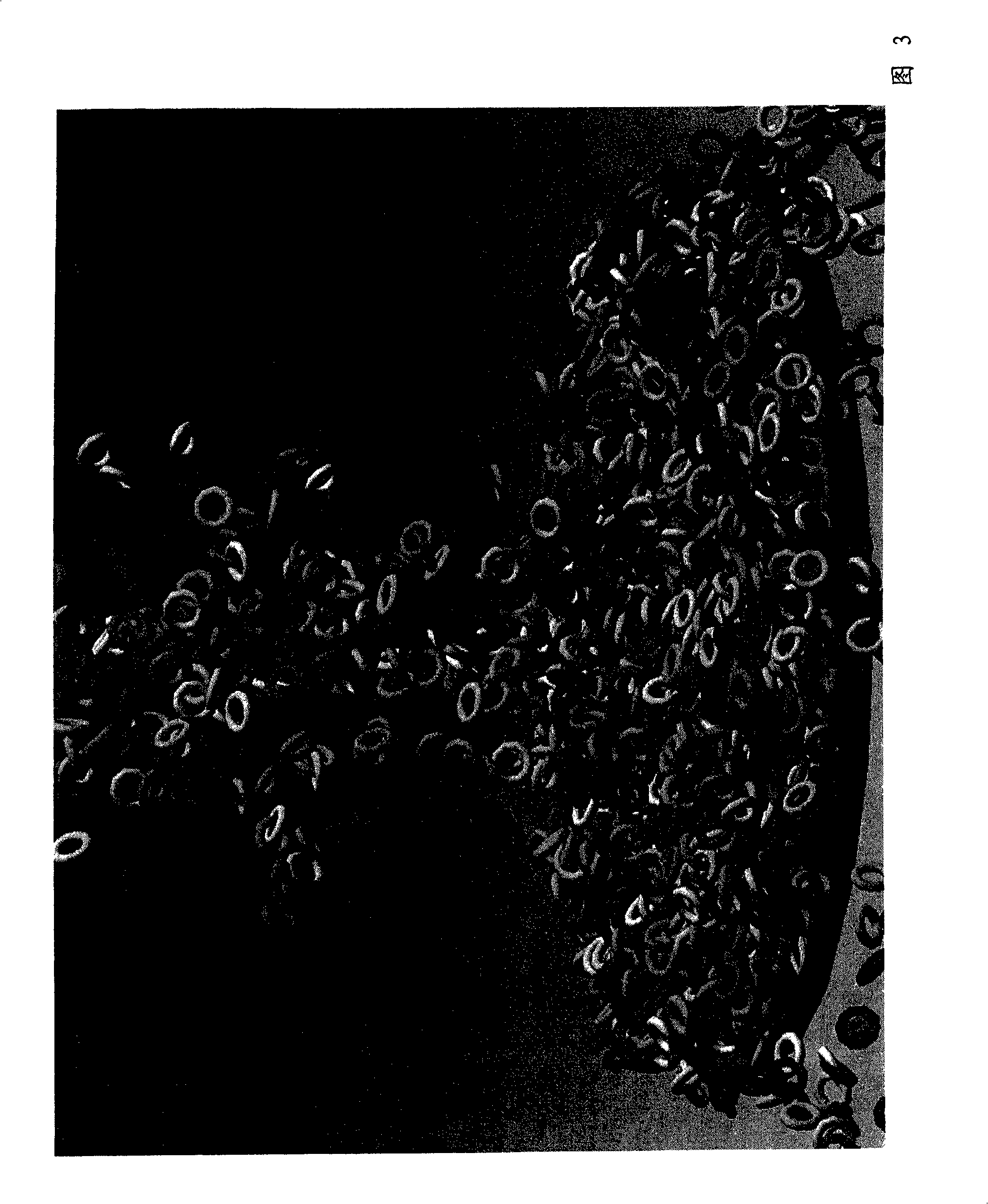 Method for constructing data structure used for proximate particle search