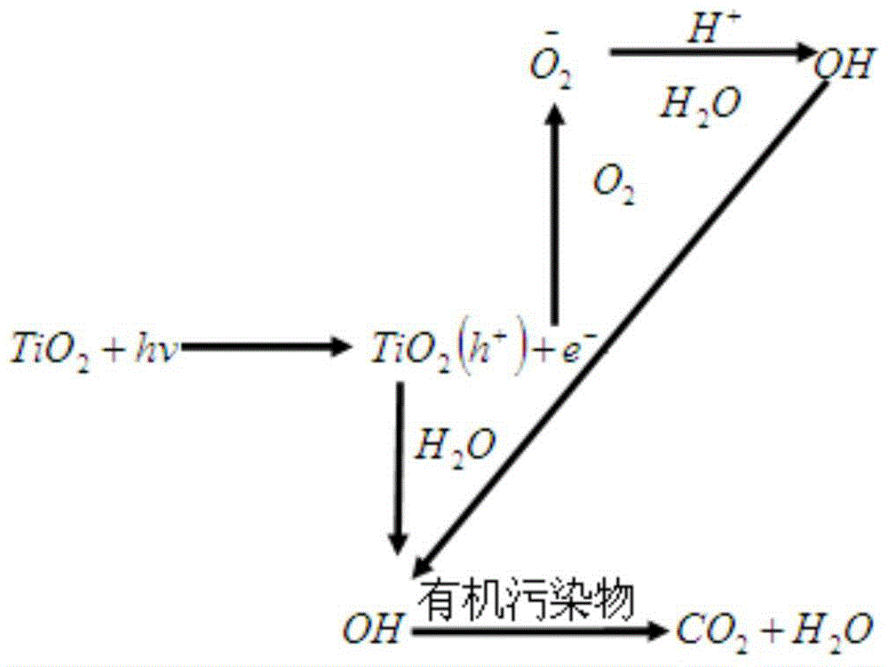 Formaldehyde decomposition solution prepared by nano-pollen and nano-carbon as well as preparation method of formaldehyde decomposition solution