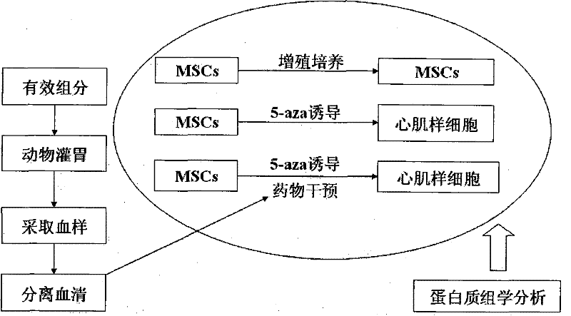 Medication and preparation method and application thereof