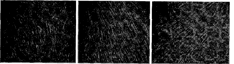 Medication and preparation method and application thereof